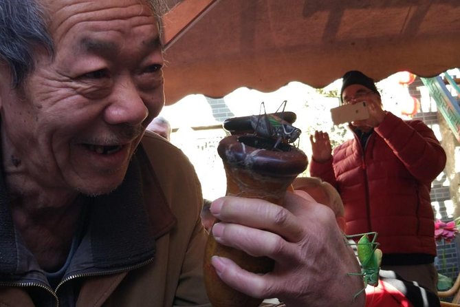 Private Hutong Culture Tour with Dumpling Cooking Class plus Cricket Fighting Game - Starting at Lama Temple and the Confucius Temple
