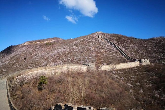 Private Layover Tour to Mutianyu Great Wall and Forbidden City - A local dumpling lunch between the sights