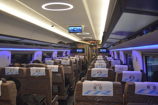 Private Tianjin Port Departure Transfer from Beijing by Bullet Train Experience - The final ride to Tianjin International Cruise Port