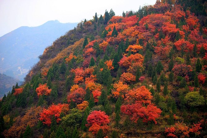 Private Tour: Badaling Great Wall and Kangxi Grasslands on Horseback - Badaling gives you the surest start