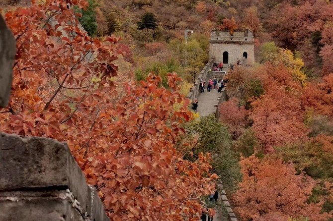 Private Tour: Forbidden City and Mutianyu Great Wall with Cable Car or Toboggan - The Forbidden City and its central axis
