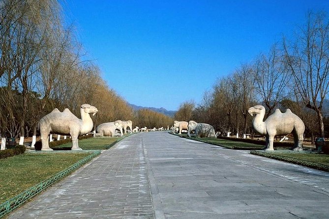 Private Tour to Mutianyu Great Wall and Ming Tombs - Understanding the Ming Tombs