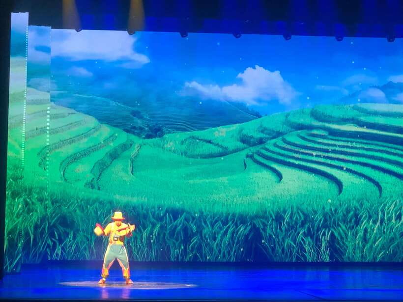 Red Theatre Beijing Acrobatics Show Ticket - The ticket process needs careful attention
