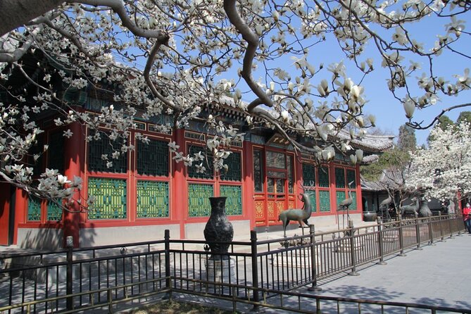 Summer Palace Ticket with optional Guided Tour - Meeting at East Gongmen