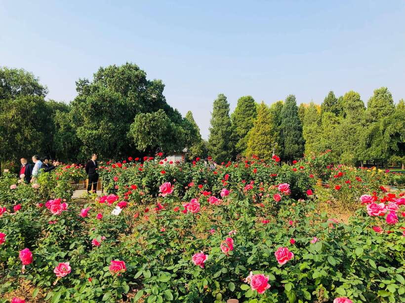 Temple of Heaven Ticket - The limits you should take seriously