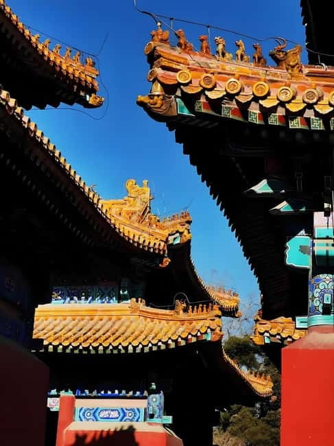 Tickets to all Beijing attractions (Forbidden City optional) - Who should book this experience?