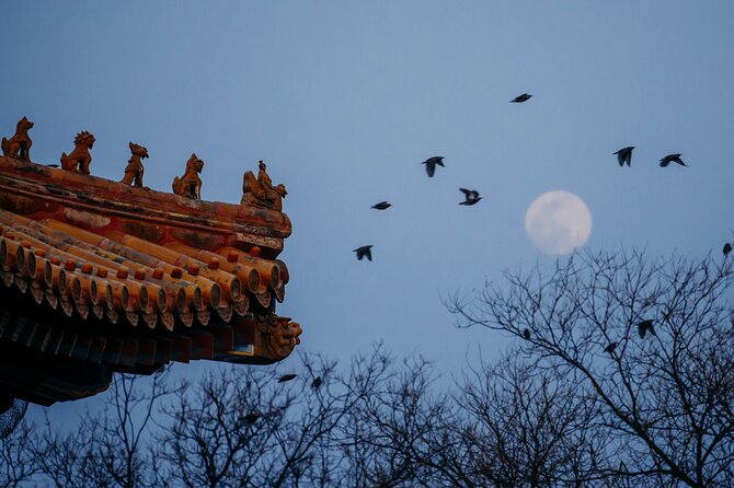 Top2 Beijing Forbidden City, Great Wall Flexible Private Tour OPT - Walking through the Forbidden City’s imperial center
