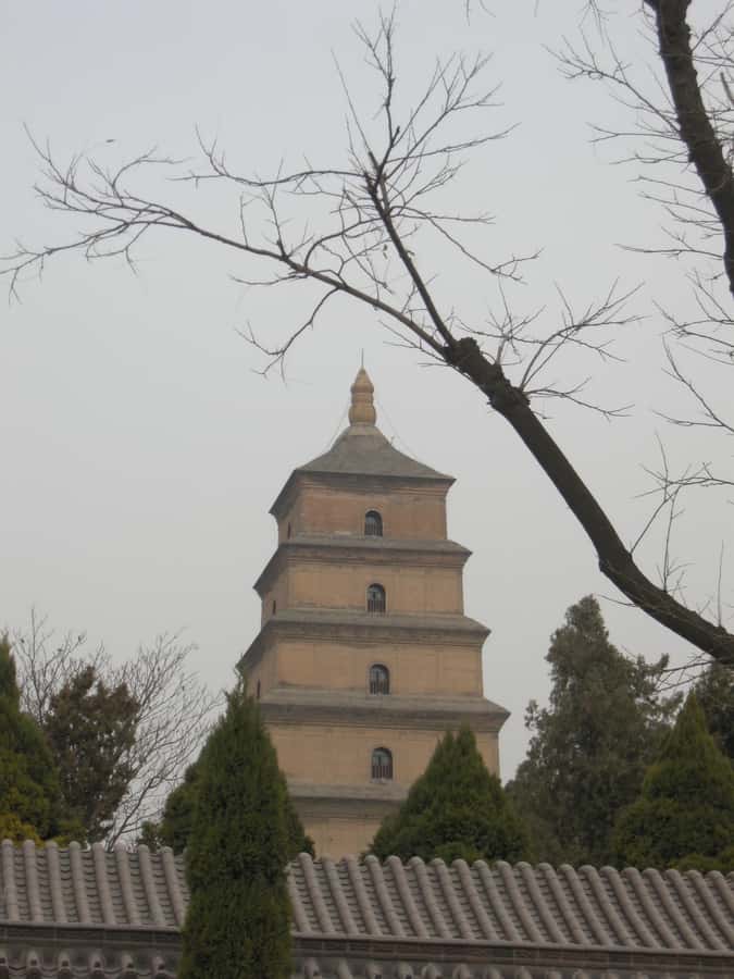 Xi'an: Terra-Cotta Warriors Entry with Optional Guide - No. 1 Pit, the Main Reason to Come